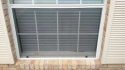 Austin-insect-bug-replacement-screens-6